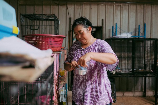 Hoe helpt spelen met je huisdier bij hun ontwikkeling?
